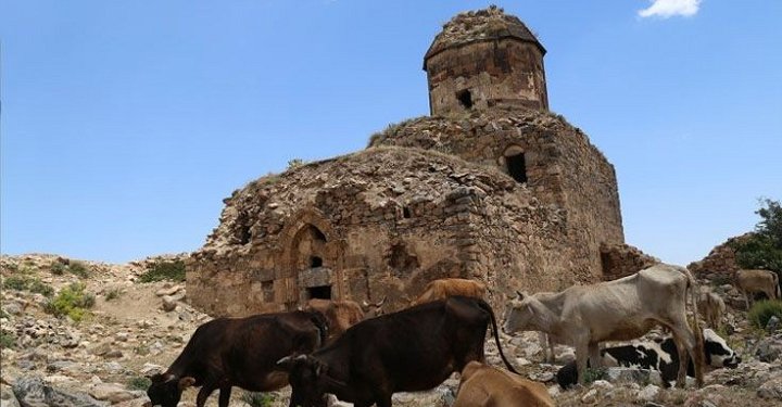 Վանի Սուրբ Թովմաս հայկական լքուած վանքը վերածուած է գոմի