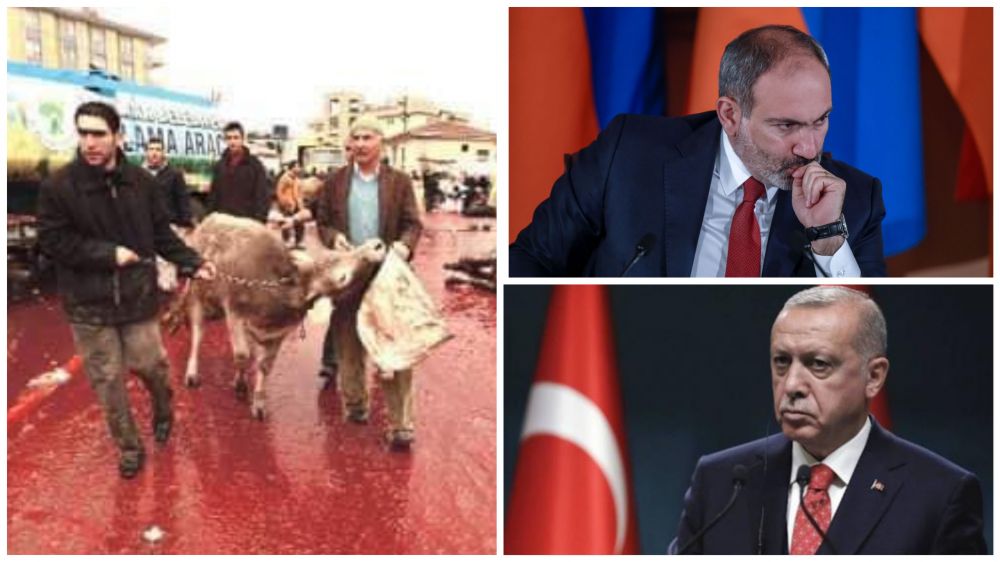 44-օրյային Թուրքիային նոր ցեղասպանության մեջ մեղադրող Նիկոլը Էրդողանին շնորհավորում է զոհաբերության տոնի առիթով. դիտարկում
