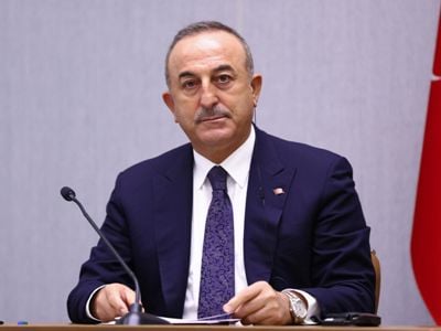 Հայաստանը խելացի կլինի եւ կօգտվի իր տարածքով անցնելիք նախագծերից. Չավուշօղլու