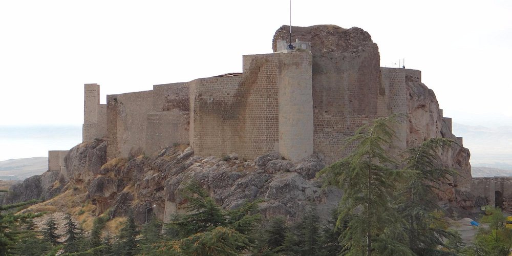 Ճամփորդություն դեպի արմատներ. Հողը հիշում է մեզ