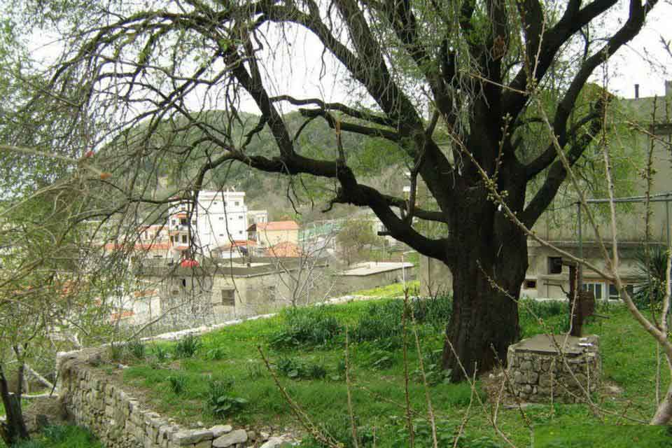 Քեսապի գիւղերը` Կիլիկեան աշխարհի վերապրող վկաները. Օսմանեան կայսրութեան կազմէն ներս Քեսապի բնակչութեան բազմացումը եւ բնակավայրին ընդարձակումը