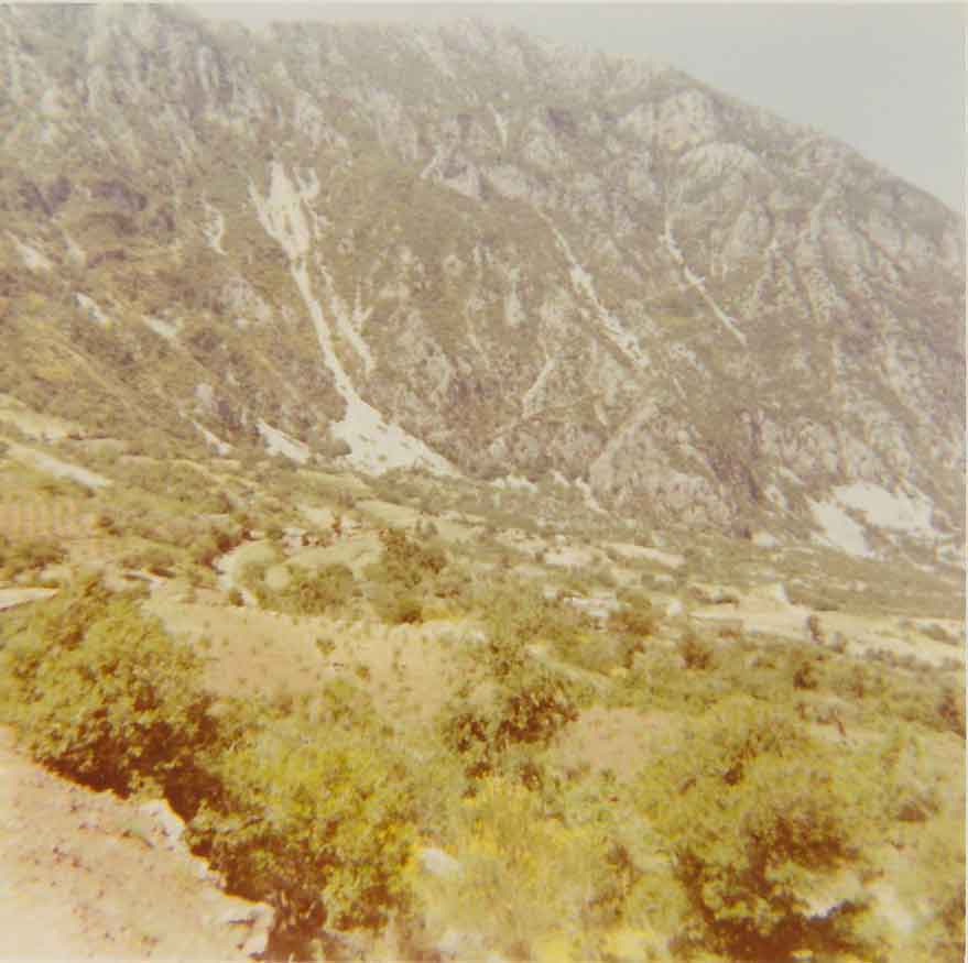 Քեսապի մէջ ազգային կազմակերպութիւններու մուտքն ու ծաւալումը