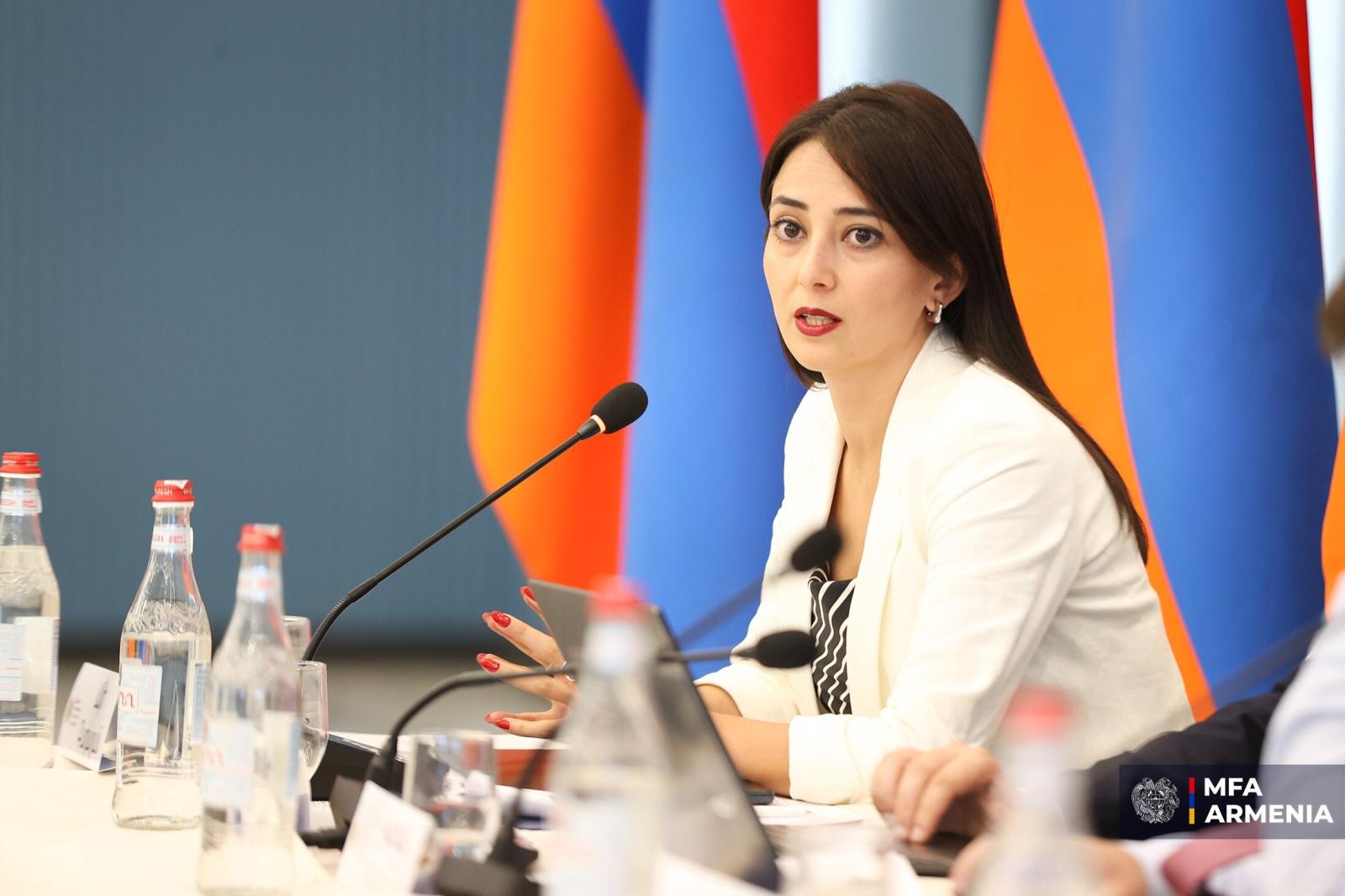 Հուսով ենք, որ Հայաստանի և Ադրբեջանի միջև հաստատված խաղաղությունը վերջ կդնի մտացածին թեզերին. ՀՀ ԱԳՆ-ի արձագանքը՝ Բաքվի մեղադրանքներին